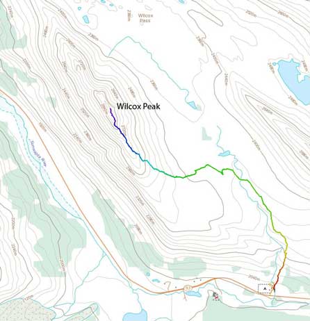 Wilcox Peak or Mount Wilcox? A Gem Scramble on Icefields Parkway