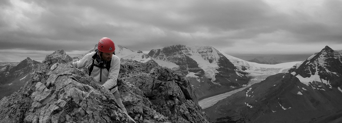 Wilcox Peak Scramble: The Rockies' Best View for Your Effort